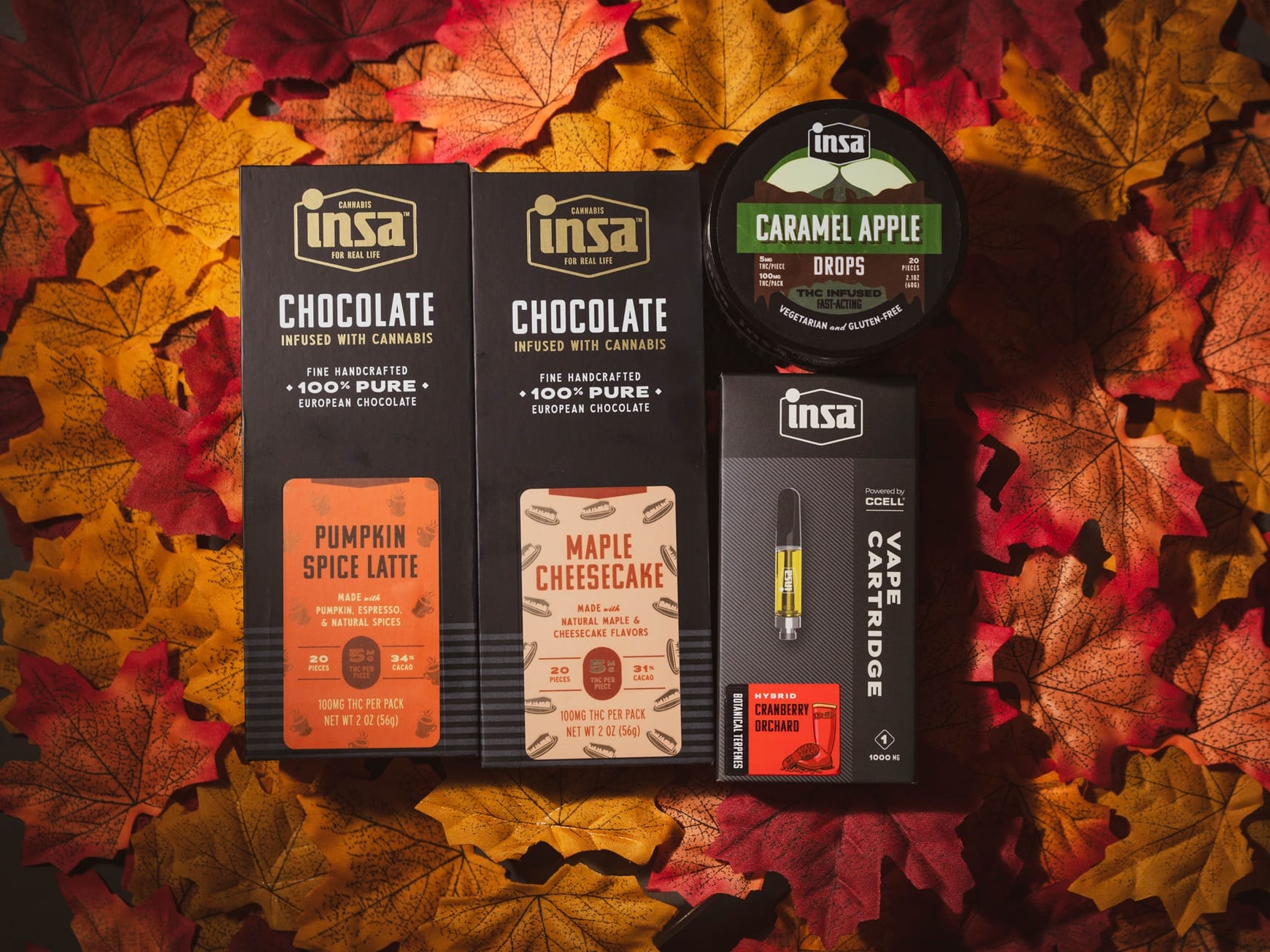 Fall Collection