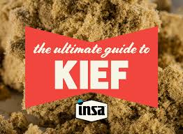 INSA cannabis ground up bring rolled into a joint