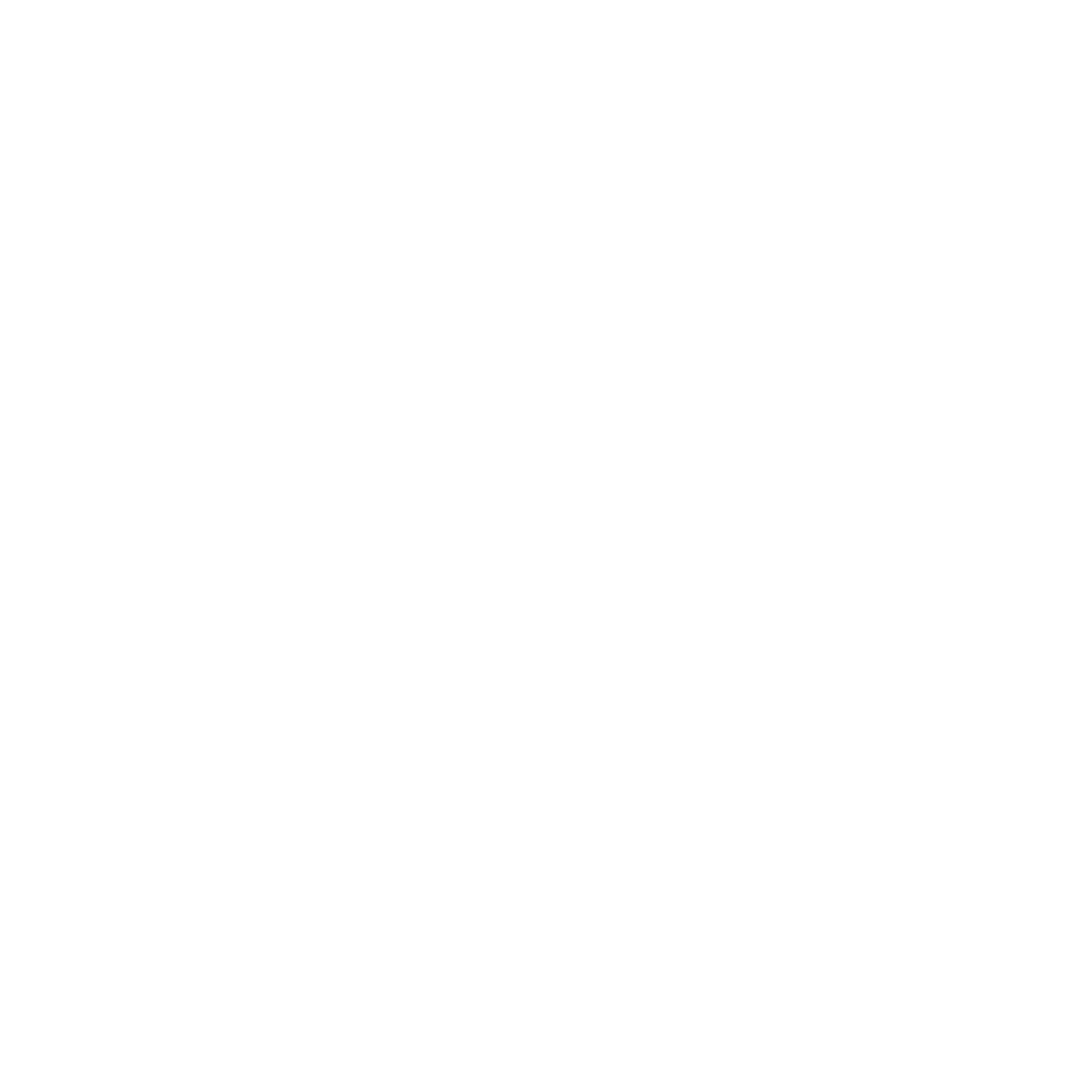 Insa